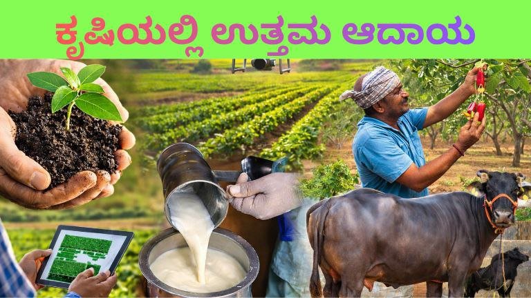 ಕೃಷಿಯಲ್ಲಿ ಆದಾಯ ಹೆಚ್ಚಿಸುವ ವಿಧಾನಗಳು